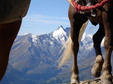 Austria-Kaernten-High Tauern Mountain Rides